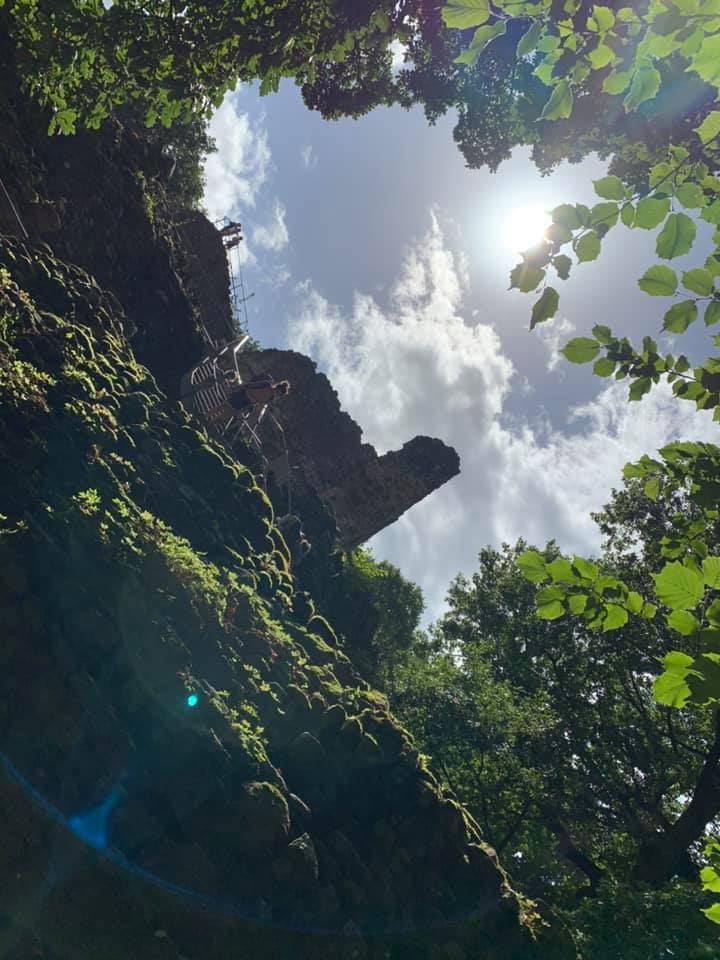 Nick Dec Blog 1