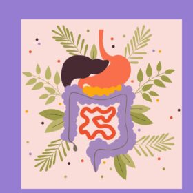 Digestive Health 1080x1080 blog hero