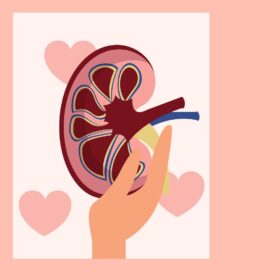 World kidney day 1080x1080 blog hero