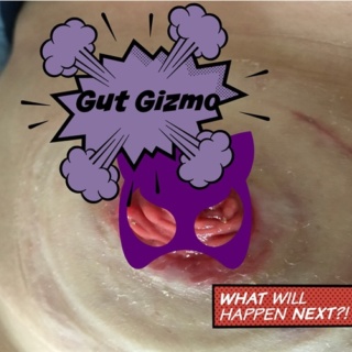 Gut Gizmo Blog SecuriCare