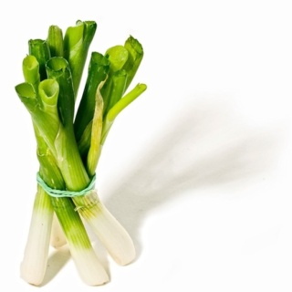 Leeks Not Leaks Blog