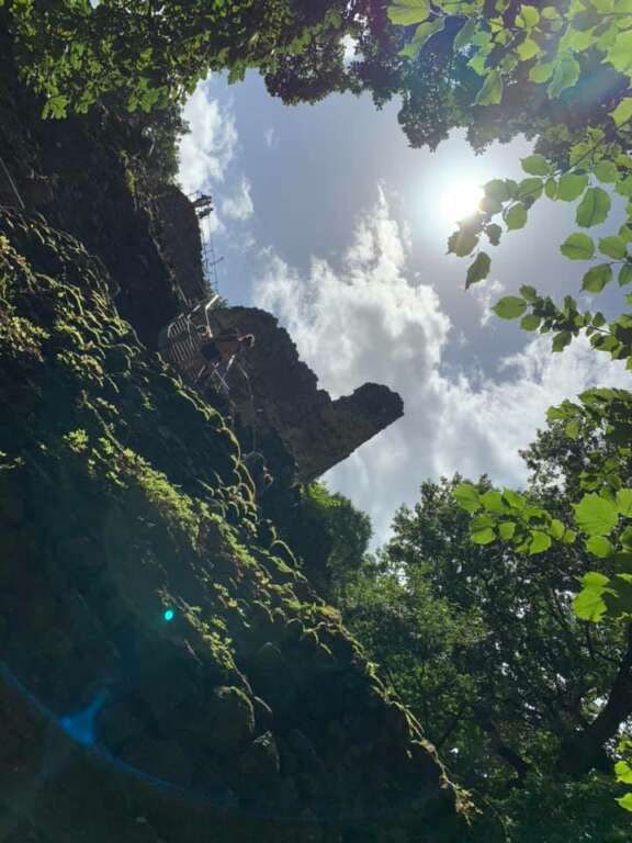 Nick Dec Blog 1