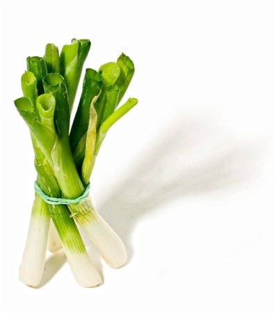 Leeks Not Leaks Blog