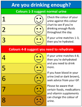 Ulets Talk About Pee Shall We