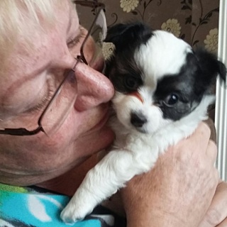 Getting A Dog After Stoma Surgery Has Improved My Relationship With My Stoma