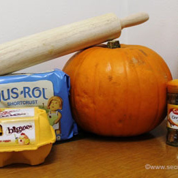 Pumpkin Pie Recipe For Ostomates