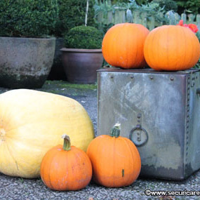 Stoma Nutrition The Benefits Of Pumpkin