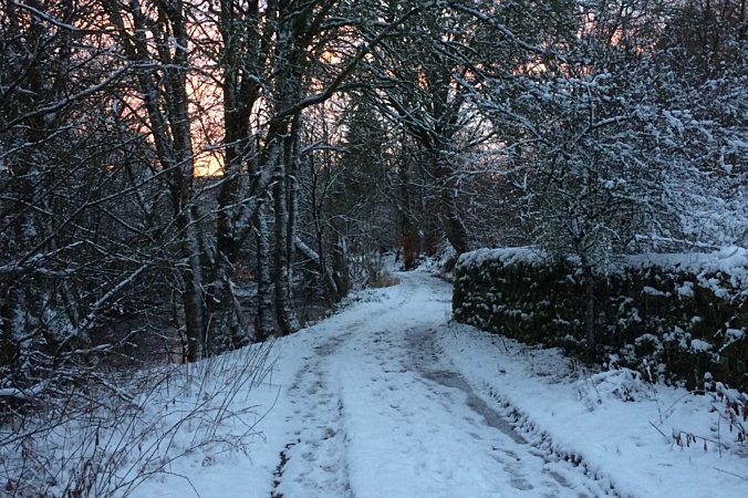 Why Preparing For Winter Is Essential To Survive Rural Life With Incontinence